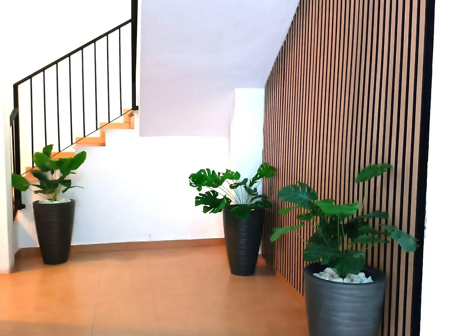 Apartamentos Calle Nueva Málaga